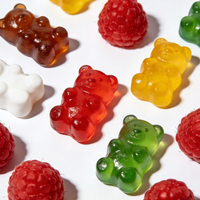 Gemengde Gummy Q-bouncy Bear frambozen- en fruit smaakjes snoepjes voor kinderen & volwassenen, suikervrij, in een fles.