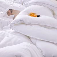Luxuriöse Moderne Hotel-Weiße Bettdecke Imitierte Gänsedaunen-Steppdecke Polyester Gesteppt Ganzjährig Atmungsaktiv für den Heimgebrauch