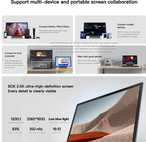 Diiwell 16 inch QHD 100% sRGB chơi game Dual <span class=keywords><strong>LCD</strong></span> hiển thị máy tính xách tay màn hình Extender Led C cho máy tính xách tay điện thoại di động máy tính xách tay màn hình - Product Image 3