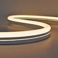 Striscia LED RGB Intelligente in Silicone Nero Personalizzata 9.5*22mm per Insegne Commerciali e Alberghiere con Grado di Protezione IP67