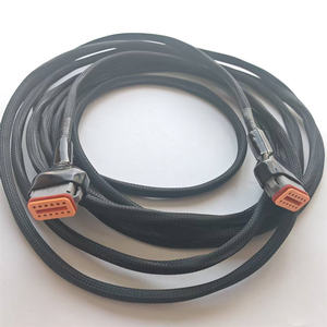 IATF16949 인증 전문 케이블 하네스 공급업체 12p DT06 DT12S 방수 커넥터 케이블 및 와이어 하네스 어셈블리(커버 포함) - Product Image 6