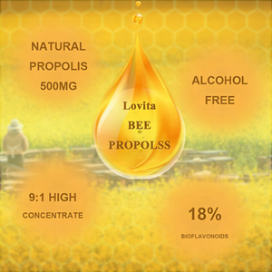 Gummies de <span class=keywords><strong>propolis</strong></span> WELLBODY personnalisées pour le soutien immunitaire - Qualité alimentaire, certifiées GMP, OEM/ODM disponibles - Product Image 4