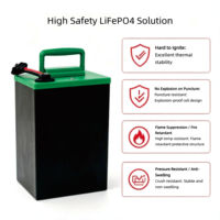 Baterai Sepeda Listrik 2-Roda/3-Roda LiFePO4 51.2V 20Ah 60A Discharge Universal 48V Paket Baterai Lithium