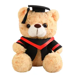 毛绒玩具毕业泰迪熊带帽批发毛绒可爱毛绒玩具熊