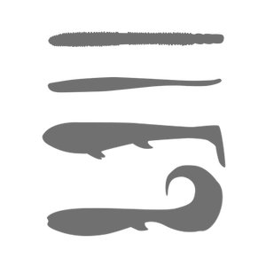 OEM personalizado cebo <span class=keywords><strong>de</strong></span> pesca señuelo <span class=keywords><strong>de</strong></span> pescado molde libre 3 D <span class=keywords><strong>dibujo</strong></span> molde <span class=keywords><strong>de</strong></span> inyección hecho a máquina - Product Image 1