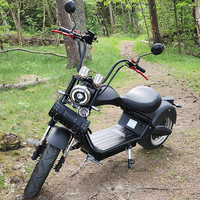 Elektrisches Motorrad skuter elektrik, sepeda motor 3000W EEC 4000W EU USA tanpa baterai