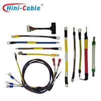 HINICABLE HYH-INT-062 OEM Faisceau de câbles électriques durable et personnalisable pour l'électronique industrielle, conducteur en cuivre CE