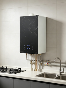 <span class=keywords><strong>Chaudière</strong></span> murale combinée <span class=keywords><strong>à</strong></span> condensation <span class=keywords><strong>à</strong></span> prémélange complet 28 kW, rendement 108 %, faibles émissions de NOx, <span class=keywords><strong>gaz</strong></span> naturel, avec unité de filtre <span class=keywords><strong>à</strong></span> air externe - Product Image 1