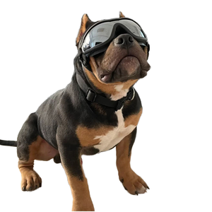 แว่น<span class=keywords><strong>ตา</strong></span>สุนัขป้องกันรังสียูวี กันลม สวมใส่สบาย ลายพิมพ์ทันสมัย วัสดุ TPU เป็นมิตรกับสิ่งแวดล้อม ใช้ได้ทุกฤดู อุปกรณ์เสริมสำหรับสุนัขทุกสายพันธุ์ - Product Image 1