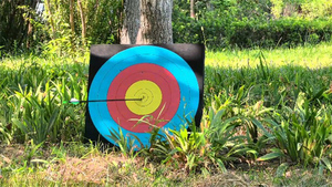 Sân sau săn bắn bắn thực hành 3D mật độ cao cung mũi tên bắn EVA bắn cung mục tiêu bọt - Product Image 2