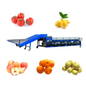 Industrial High Efficiency Fruits Vegetables Sizes fruit grading machine For Sorting