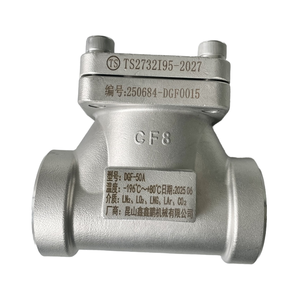 ตัวกรองอุณหภูมิต่ำแบบแมนนวล DGF50A DN50 สำหรับถังเก็บก๊าซ LNG LO2 LN2 LAr CO2 แบบจุลภาค - Product Image 4