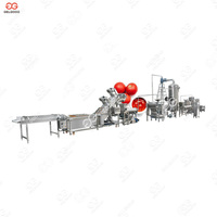 Ligne de production industrielle de concentré de tomate de grande capacité, mini usine complète de transformation de concentré de tomate industrielle