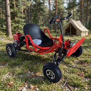Go Kart Hidráulico con Motor BLDC de 750W y Eje de Transmisión para Adultos, 48V 20Ah, 70km/h, Uso en Exteriores, Rueda de 80cm, Carga de 200kg - Product Image 4