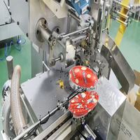 Équipement d'emballage en feuille ondulée semi-oïdale pour chocolat, à fonctionnement continu, avec distribution de colle entièrement automatisée, conçu sur mesure