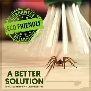 Nhà Máy Bán buôn nhện côn trùng Critter Catcher cho nhện gián Bọ Cạp ruồi dế hôi thối lỗi - Product Image 5