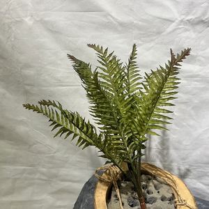 EG-J227 tinggi 48cm 13 garpu daun lateks dekorasi toko kopi dekorasi dalam ruangan luar ruangan daun Persia buatan - Product Image 4