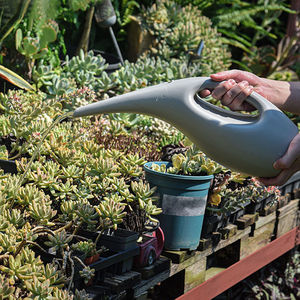Arrosoir à long bec de 2,5 L et 1,5 L pour plantes d'intérieur et fleurs - Product Image 2