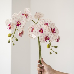 Orchidée artificielle en soie Haiyi Phalaenopsis pour la décoration de la maison et des mariages - Product Image 3