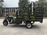 Трехколесный мотоцикл на бензине 150 куб. см с низким расходом топлива