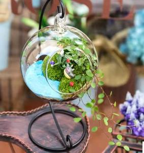 Planta suculenta de musgo Circular Micro paisaje decorativo colgante ecológico florero de vidrio transparente macetas maceta - Product Image 6