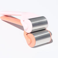 Outil de massage facial et oculaire portable en acier inoxydable, masseur dermique en plastique, boule de glace pour rafraîchir la peau, comprend un coffret cadeau