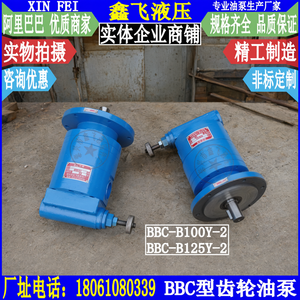 ปั๊มไฮดรอลิกแรงดันสูง BBC รุ่น B100Y B125Y ทำจากเหล็กหล่อ สำหรับระบบไฮดรอลิก - Product Image 2