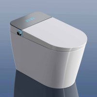 Intelligent porcelaine wc monté au sol eau Japon cuvette de toilette salle de bain automatique céramique noir toilette intelligente
