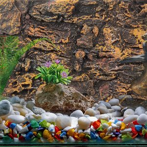 Espuma reptil terrario decoración <span class=keywords><strong>3D</strong></span> <span class=keywords><strong>acuario</strong></span> <span class=keywords><strong>FONDO</strong></span> PARA pecera - Product Image 3