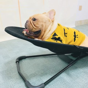 Chaise de <span class=keywords><strong>lit</strong></span> à bascule portable réglable pour animaux de compagnie Nouveau design <span class=keywords><strong>Lit</strong></span> pour <span class=keywords><strong>chien</strong></span> surélevé pliable avec tissu en maille Motif solide Effet <span class=keywords><strong>apaisant</strong></span> - Product Image 1