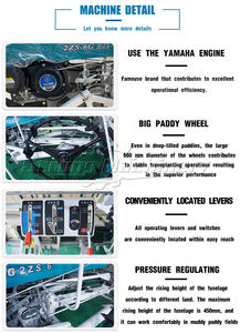 Transplanteuse de paddy Type d'entraînement planteuse de riz planteuse de graines de riz/machine de plantation de graines de paddy - Product Image 3