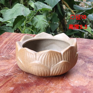 Chậu Hoa Gốm Trang Trí Nhà Cửa Thiết Kế Độc Đáo Hiện Đại Phong Cách Đơn Giản Chậu Trồng Cây Mọng Nước Chậu Làm Vườn - Product Image 2