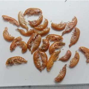 Alimentos para mascotas camarones liofilizados/Krill/<span class=keywords><strong>Gammarus</strong></span> secado al sol - Product Image 4