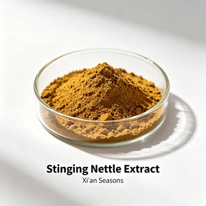 Extrait Pur de Feuilles de <span class=keywords><strong>Ortie</strong></span> 10:1 4:1 Beta – Approvisionnement Direct Usine  Poudre d'extrait de racine d'<span class=keywords><strong>ortie</strong></span> à la sitostérol Non  GMO - Product Image 1