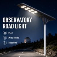 Promotion : Lampadaire Solaire 600W en Aluminium 3.2V avec Panneau MONO pour Jardin et Aménagement Extérieur