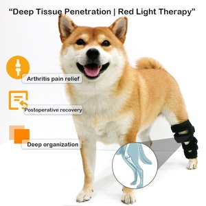 Sabuk Terapi Cahaya Inframerah Merah untuk Anjing Kecil dan Kucing Indoor, Bertenaga AC, Dapat Dipakai, Pereda Nyeri Lutut untuk Hewan Peliharaan Lansia, Perawatan <span class=keywords><strong>Arthritis</strong></span> - Product Image 3