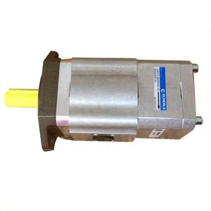 Bomba de Engranajes Hidráulica Interna de la Serie ECKERLE EIPH <span class=keywords><strong>EIPC</strong></span> EIPC5-100-RK23-1X EIPH3-032-RK23-10 EIPC3-064RA23-10 EIPS2-005RD34-111 - Product Image 2