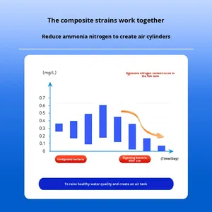 Современный очиститель воды для аквариума с нитрифицирующими бактериями, 300 мл, экологичный, для использования в гостиной, стабилизатор качества воды, гарантия 1 год - Product Image 4