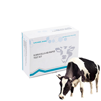 Kit de test de diagnostic rapide en une étape pour la Brucella bovine Vericare VBB-1001, résultats en 10 minutes, 25 tests/kit, sûr et fiable