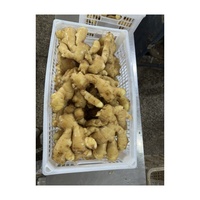 Fournisseur Jining Prix du marché du gingembre frais Graines de gingembre pour la plantation Gingembre frais de qualité supérieure à vendre