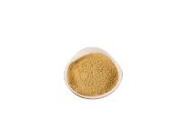 Poudre de gingembre séché de haute qualité en vrac, traitée par procédé AD, aromatisée aux fruits épicés pour la cuisine en Chine