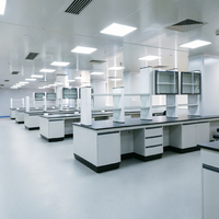 Plan de travail de laboratoire moderne en acier personnalisé avec évier et plateau en résine époxy pour écoles, hôpitaux, ateliers et laboratoires scientifiques