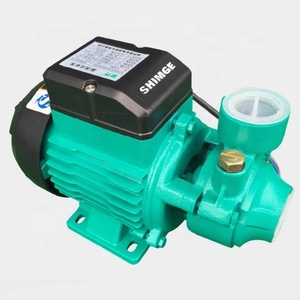 농업 관개를위한 최고 가격 0.5hp 0.37kw Qb60 하이 헤드 자체 프라이밍 브러시리스 부스터 워터 펌프 - Product Image 1