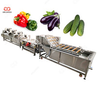 Gelgoog Auto Bramen Reinigingsapparatuur Citroenwasmachine Dragon Fruit Bessen Watermeloen Wasmachine