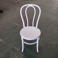 Chaise de café moderne en plastique durable pour banquets, événements et fêtes