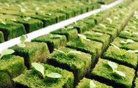 Cubes de laine de roche hydroponiques Australie Bloc de laine de roche spécial pour serre agricole