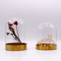 2023 nouveau design mode dôme en verre couverture cloche verre jardin dôme préservé dôme en verre base en or avec lumières led