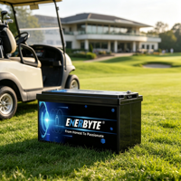 Paket Baterai Li-Ion Enerbyte Deep Cycle Solar LiFePO4 Lithium Ion untuk RV, Golf Cart, AGV, ISO