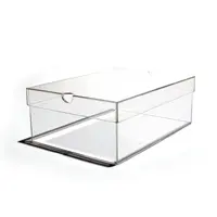 Superb Quality crystal clear shoe boxes With Luring Discounts 