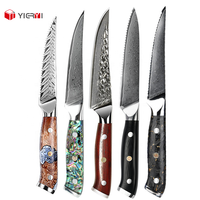 Vente chaude Premium 67 couches ensemble de couteaux à Steak en acier damas 4/5/6 pièces pour hôtels et couteaux de cuisine de table occidentaux
